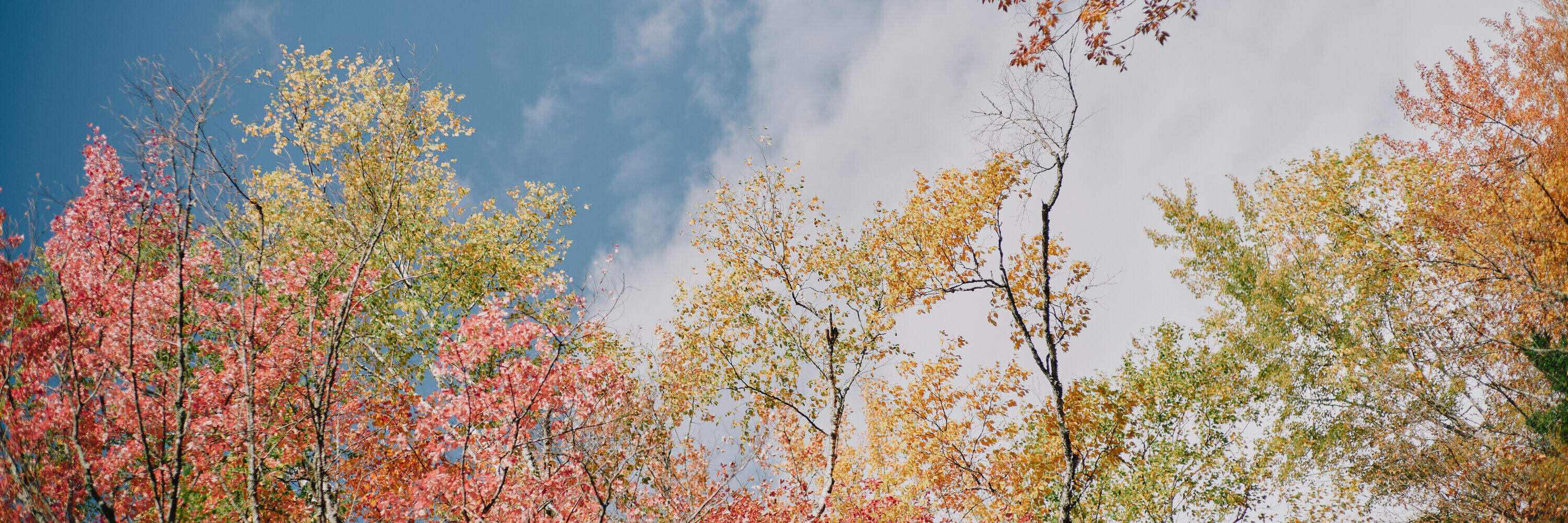 Franconia Notch State Park