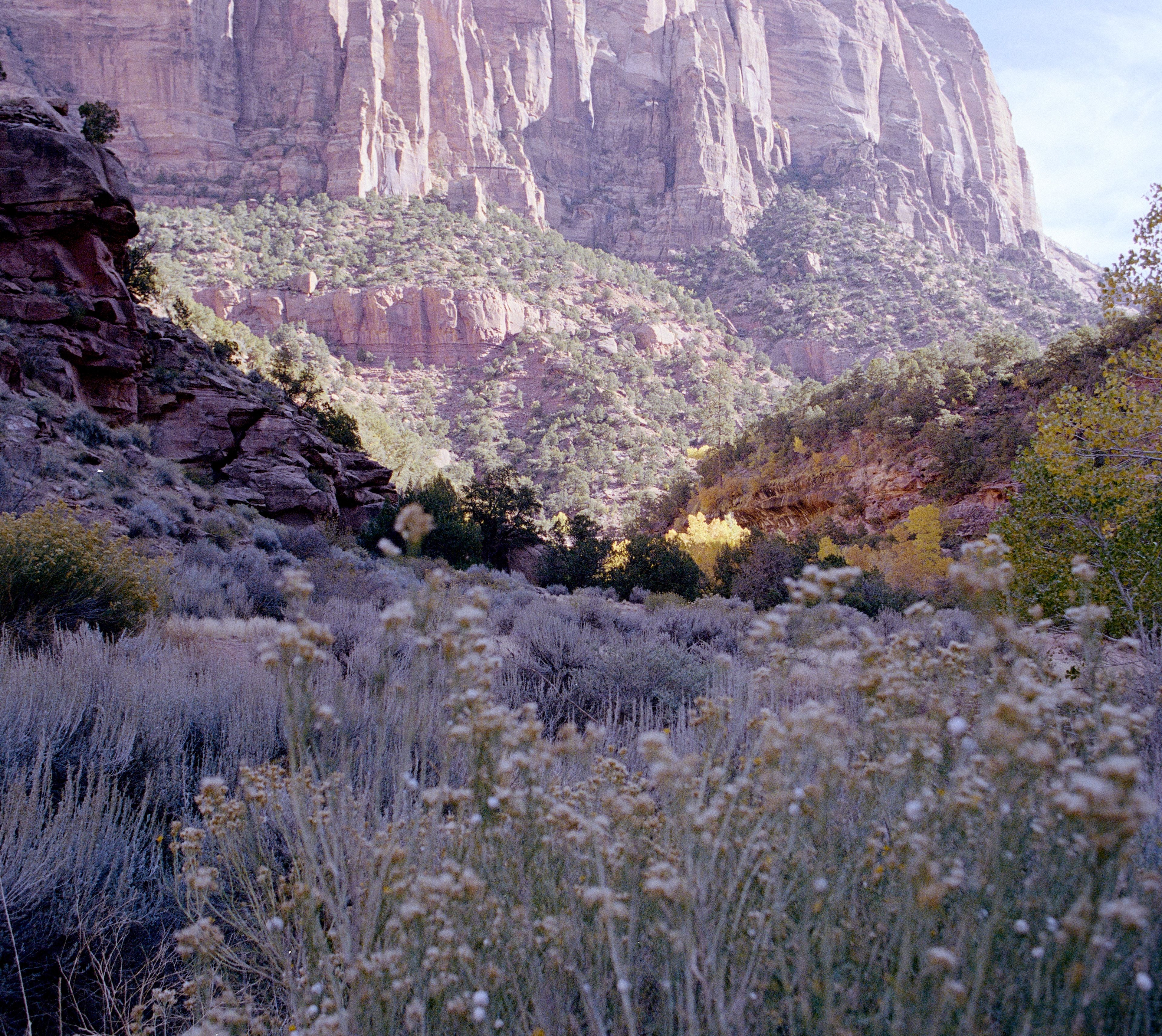 Pine Creek