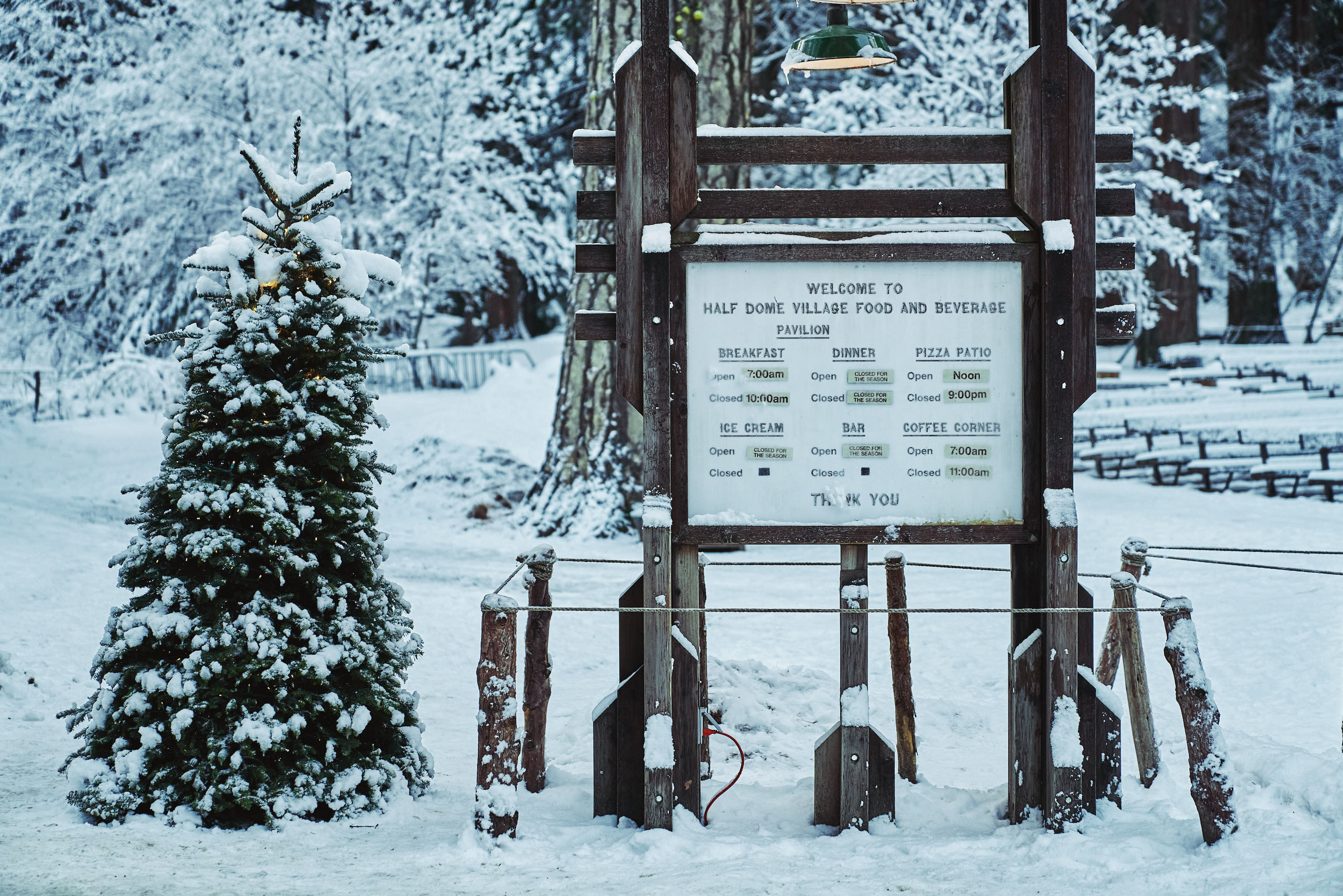 Christmas at Half Dome Village, Yosemite
