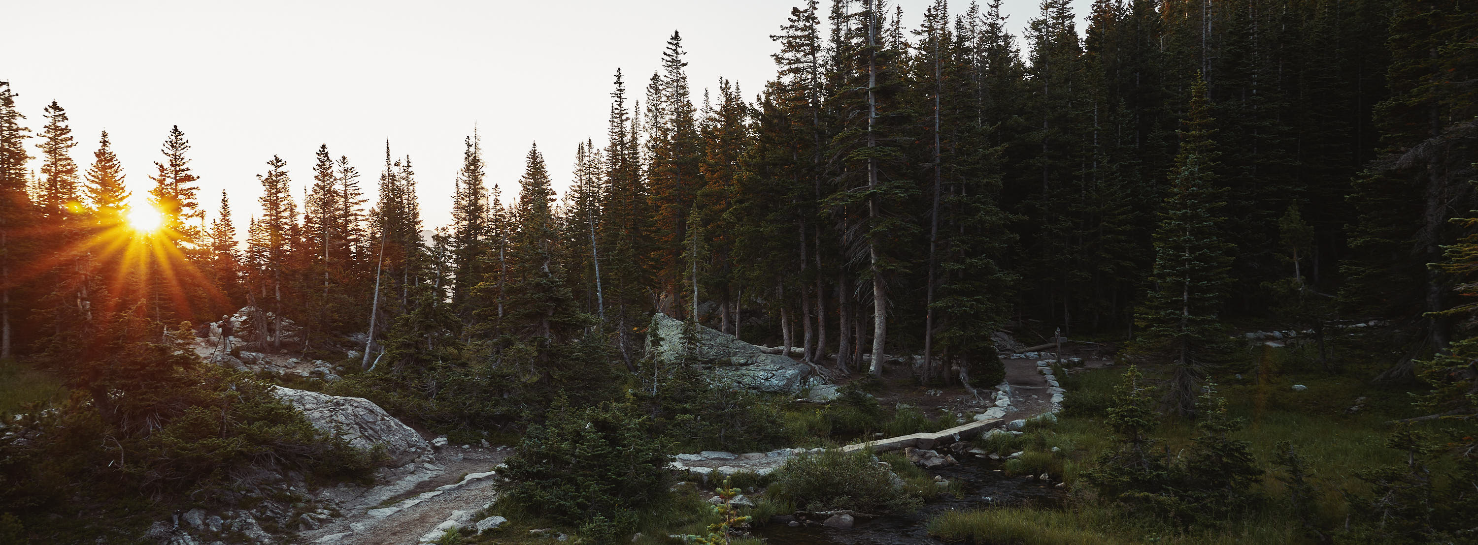 Meadow Sunrise at Dream Lake